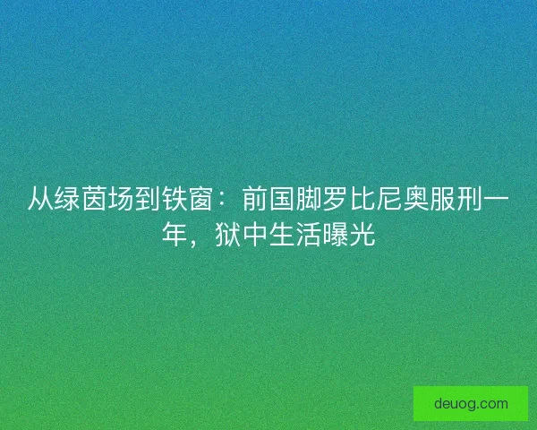 从绿茵场到铁窗：前国脚罗比尼奥服刑一年，狱中生活曝光